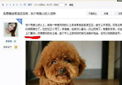 QQ截图20150415075851.jpg image