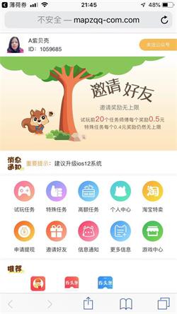 鼠宝