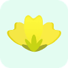 小菜花