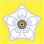 满天星