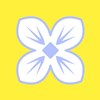 丁香花