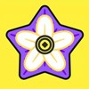 星辰花